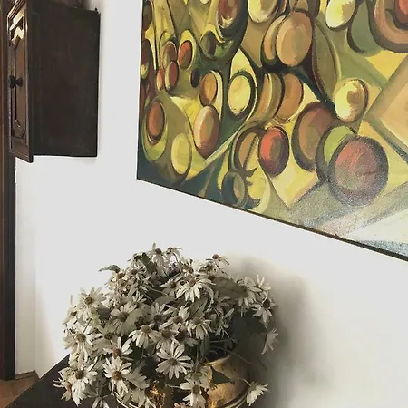 Cozy Flat