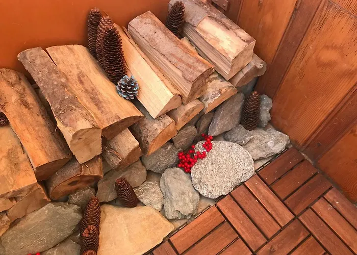 Cozy Flat * 브루일서비니아